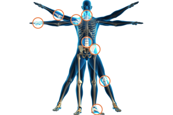 401-4015517_orthopaedics-image-from-human-body-transparent-png-removebg-preview